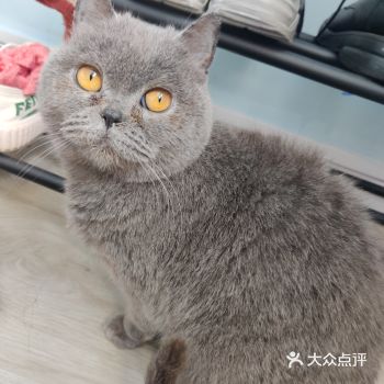 大噶好  我叫:小菜花  很凶的