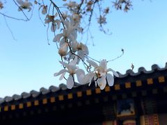 -北京宽沟会议中心