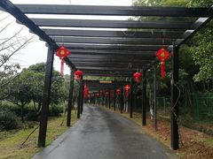 -九龙潭景区