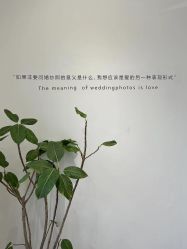 点击看大图 -绽放摄胶片摄影工作室
