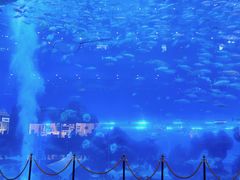 -成都浩海立方海洋公园