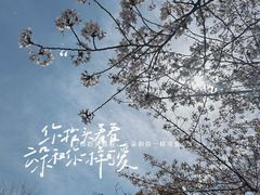 -高东镇樱花园