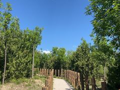 -白水寺森林公园