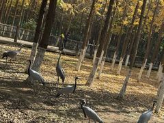 -艾溪湖湿地公园