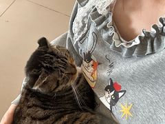 -平行世界·猫咖(首经贸店)