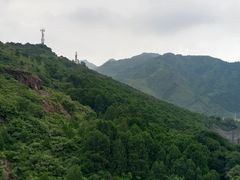 -燕塞湖鸟语林景区