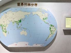 -安吉竹博园