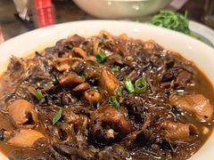 -鸽子窝(青塔店)
