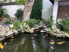 -鲤院·新中式美学·庭院餐厅(夫子庙店)