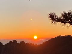 -黄山排云型旅酒店餐厅