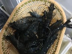 -老字号蛇口德记烧腊饭店·海鲜加工