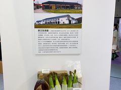 -国家会展中心
