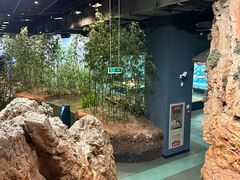 -浙江自然博物院(杭州馆)