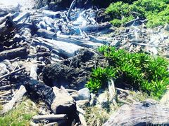 -龙坑生态保护区