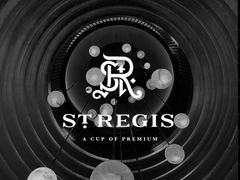 -The St·Regis Bar 瑞吉酒吧