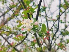 -黄陂区野村谷景区