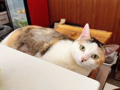 -多维国际马术俱乐部(118广场店)