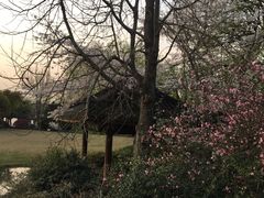 景点-柳浪闻莺公园