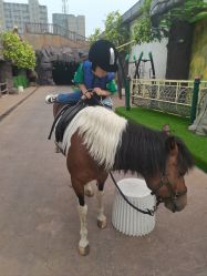 -宝燕乐园(闵行旗舰店)