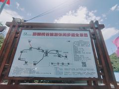 -大岭沟猕猴桃谷风景区