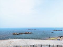 -海合安青岛极地海洋公园