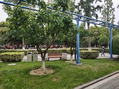 -荆川公园