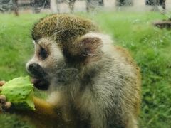 -石家庄市动物园