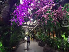 -新千丽景空中花园清真餐厅(新千国际广场店)