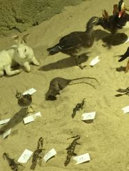 -酷嗒动物文化乐园(cutezoo西溪乐天城店)