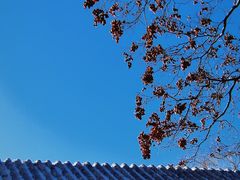 -陶然亭公园