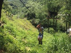 -梦幻奥陶纪景区