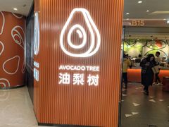 -油梨树 AVOCADO TREE(亮马桥店)
