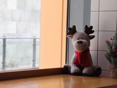-81bakery(关山路店)