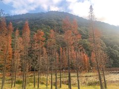 -广州市石门国家森林公园