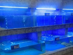 -香山湖渔家大院