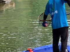 -烈士陵园(地铁站)