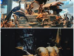 -上海自然博物馆