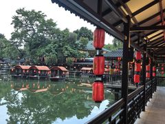 -侨美·唐荔园·40年地道粤菜