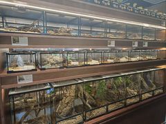 -帕帕拉兹宠物(亚洲旗舰店)