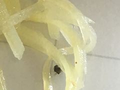 -东方饺子王(让胡路远望店)