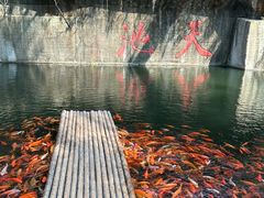 -千岛湖东南湖区