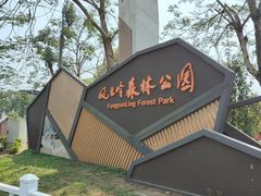 -风云岭森林公园