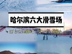 -亚布力新体委滑雪场