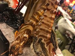 -鲜入围煮花胶鸡海鲜火锅