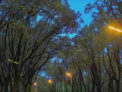 -老天桥蛙炉火锅(红峰东路店)