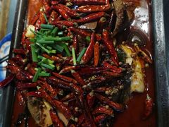 -探鱼·鲜青椒爽麻烤鱼(广州花都来又来店)
