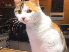 -天一朴素(武汉大学店)