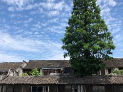 -乌镇景区
