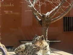 -青藏高原野生动物园