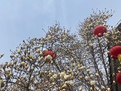 -天津盘山风景名胜区